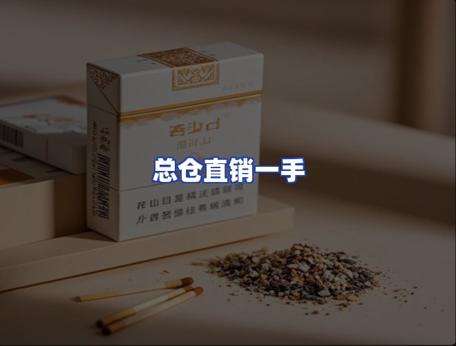 专业团队